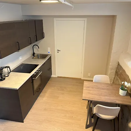 Apartment Maya - Parkveien Oslo